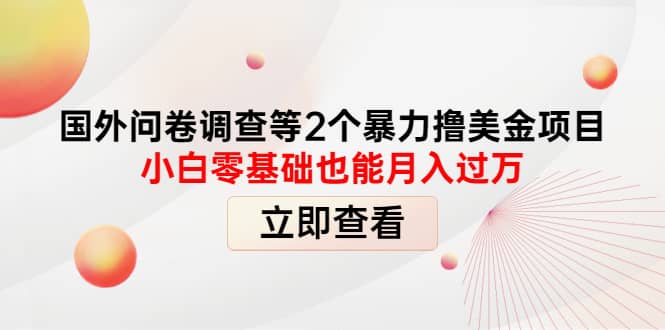 国外问卷调查等2个暴力撸美元项目，小白零基础也能月入过万-优知网