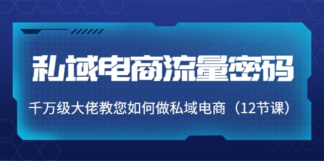 私域电商流量密码：千万级大佬教您如何做私域电商（12节课）-优知网