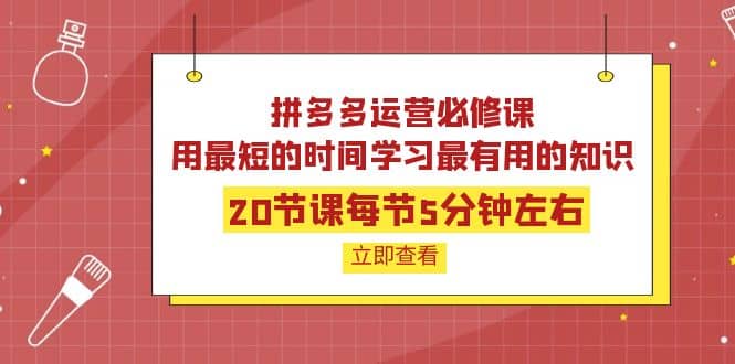 拼多多运营必修课：20节课每节5分钟左右，用最短的时间学习最有用的知识-优知网