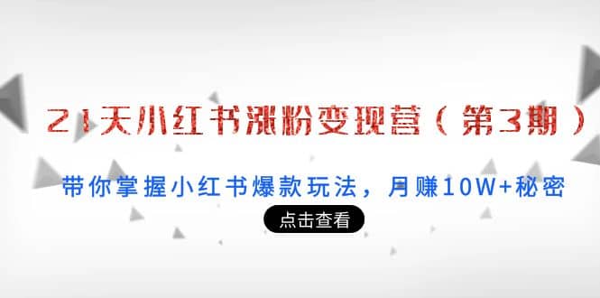 21天小红书涨粉变现营（第3期）：带你掌握小红书爆款玩法，月赚10W+秘密-优知网