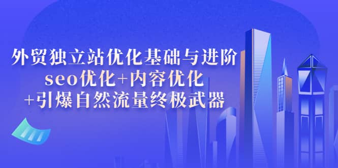 外贸独立站优化基础与进阶，seo优化+内容优化+引爆自然流量终极武器-优知网