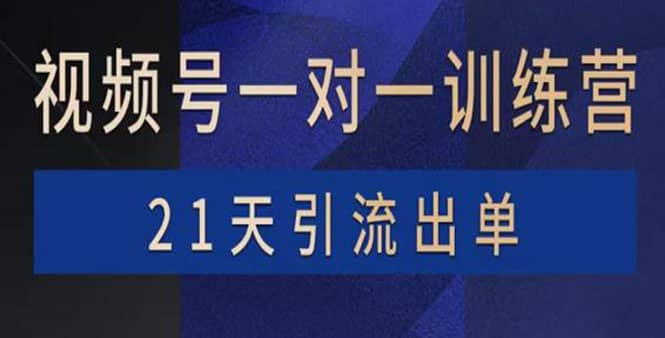 视频号训练营：带货，涨粉，直播，游戏，四大变现新方向，21天引流出单-优知网