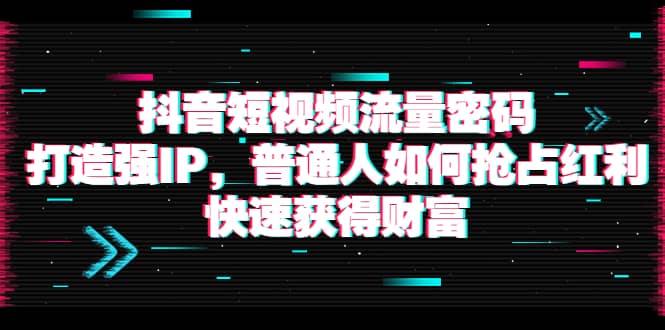 抖音短视频流量密码：打造强IP，普通人如何抢占红利，快速获得财富-优知网