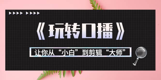 月营业额700万+大佬教您《玩转口播》让你从“小白”到剪辑“大师”-优知网