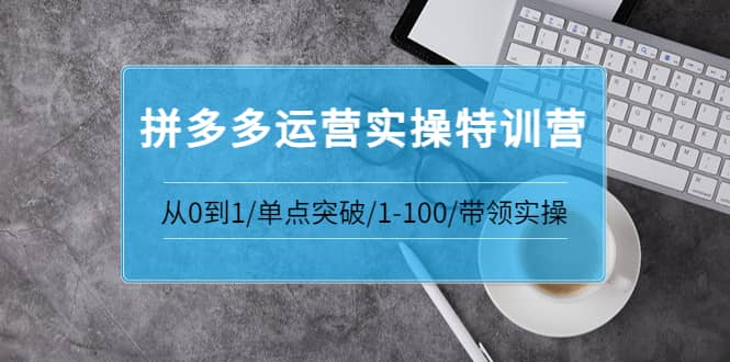 拼多多运营实操特训营：从0到1/单点突破/1-100/带领实操 价值2980元-优知网