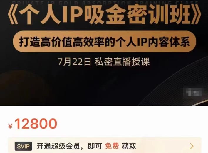 个人IP吸金密训班，打造高价值高效率的个人IP内容体系（价值12800元）-优知网