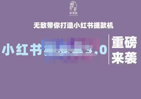 谢无敌·小红书实战营3.0，无敌带你打造小红书提款机 价值7999元-优知网