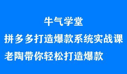 牛气学堂拼多多打造爆款系统实战课，老陶带你轻松打造爆款-优知网