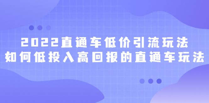 2022直通车低价引流玩法，教大家如何低投入高回报的直通车玩法-优知网