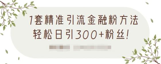 1套精准引流金融粉方法，轻松日引300+粉丝【视频课程】-优知网