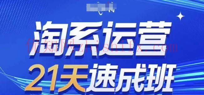 淘系运营21天速成班(更新24年7月)，0基础轻松搞定淘系运营，不做假把式-优知网