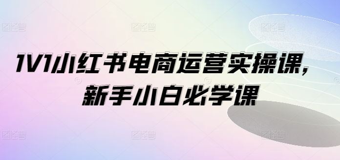 1V1小红书电商运营实操课，新手小白必学课-优知网