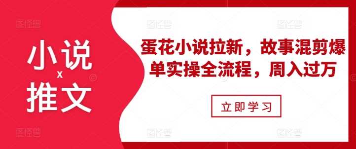 小说推文之蛋花小说拉新，故事混剪爆单实操全流程，周入过万-优知网