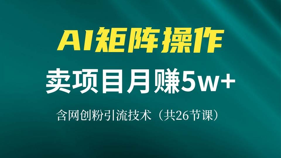 网创IP打造课，借助AI卖项目月赚5万+，含引流技术（共26节课）-优知网