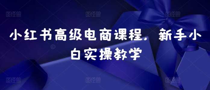 小红书高级电商课程，新手小白实操教学-优知网