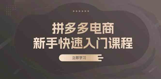 拼多多电商新手快速入门课程：涵盖基础、实战与选款，助力小白轻松上手-优知网