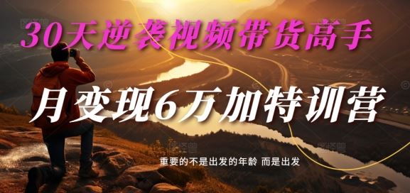30天逆袭视频带货高手，单月变现6万加特训营-麦子甜-优知网