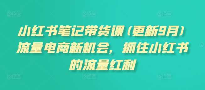 小红书笔记带货课(更新11月)流量电商新机会，抓住小红书的流量红利-优知网