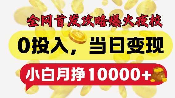 全网首发爆火夜校，0投入，当日变现，小白轻松月入1w+【揭秘】-优知网