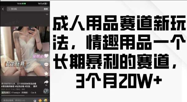 成人用品赛道新玩法，情趣用品一个长期暴利的赛道，3个月收益20个【揭秘】-优知网