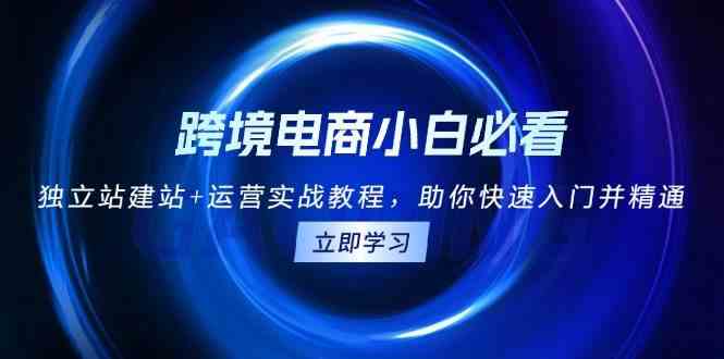 跨境电商小白必看！独立站建站+运营实战教程，助你快速入门并精通-优知网