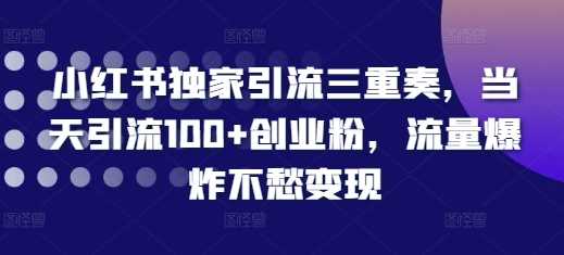 小红书独家引流三重奏，当天引流100+创业粉，流量爆炸不愁变现【揭秘】-优知网