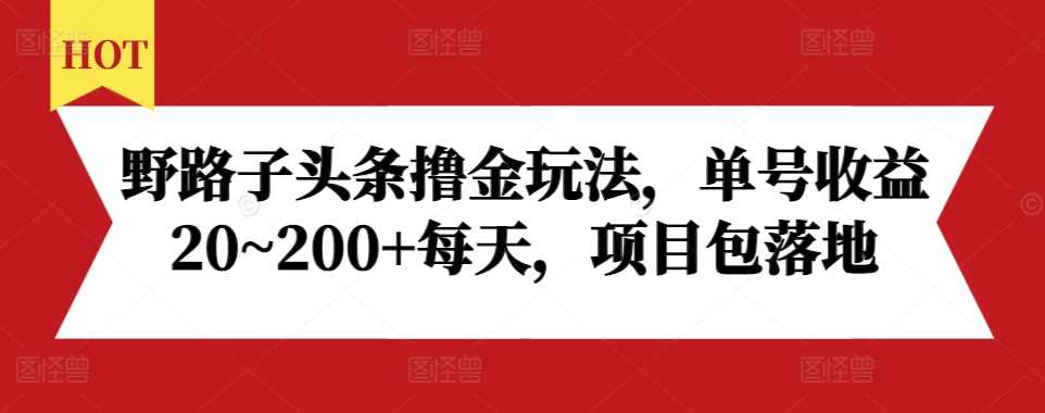 野路子头条撸金玩法，单号收益20~200+每天，项目包落地-优知网