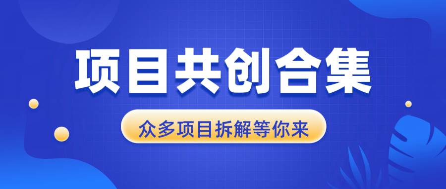 项目共创合集，从0-1全过程拆解，让你迅速找到适合自已的项目-优知网